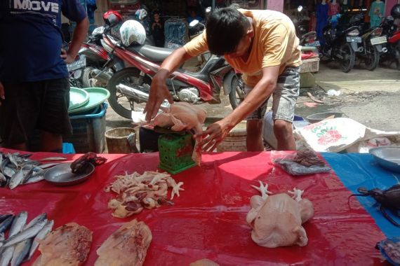 Harga Ayam Merangkak Naik, Daya Beli Melempem, Aduh! - JPNN.COM