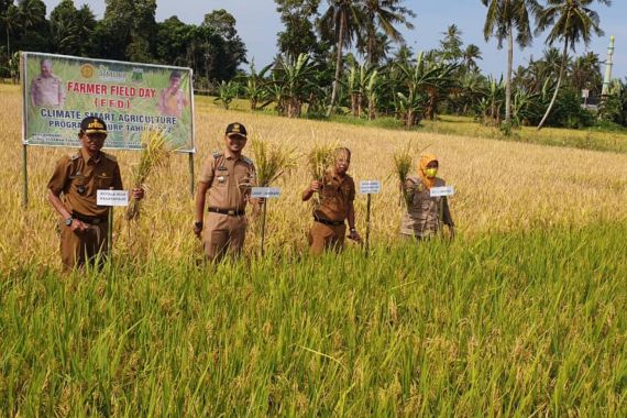 Program CSA Buktikan Hasil Petani Pinrang Berlipat - JPNN.COM