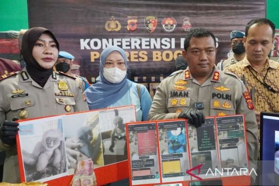 2 Penjual Satwa Dilindungi Owa Jawa Dibekuk Polres Bogor - JPNN.COM