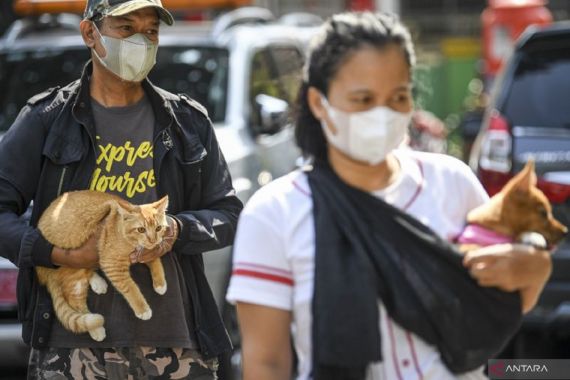 Terduga Pembunuh Kucing Diperiksa Polisi, Ancamannya Cukup Serius - JPNN.COM