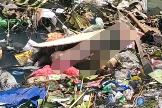 Warga Makassar Digegerkan dengan Penemuan 2 Mayat Bayi, Astaga! - JPNN.COM