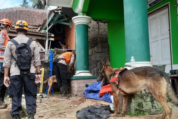 Anjing K-9 Ikut Mencari Korban Gempa Cianjur, 2 Jenazah Ditemukan - JPNN.COM