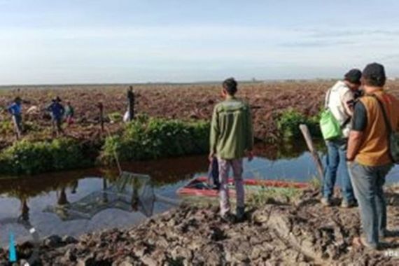 Buaya Muara Muncul di Kanal RAPP, Tim BBKSDA Riau Pasang Perangkap - JPNN.COM