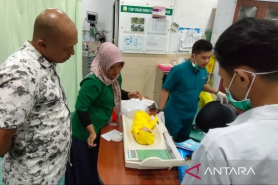 Polisi Buru Sosok Pembuang Bayi di Depan Rumah Kepala Dusun - JPNN.COM