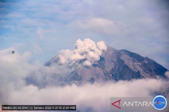 Gunung Semeru Erupsi, Jangan Ada Aktivitas - JPNN.COM