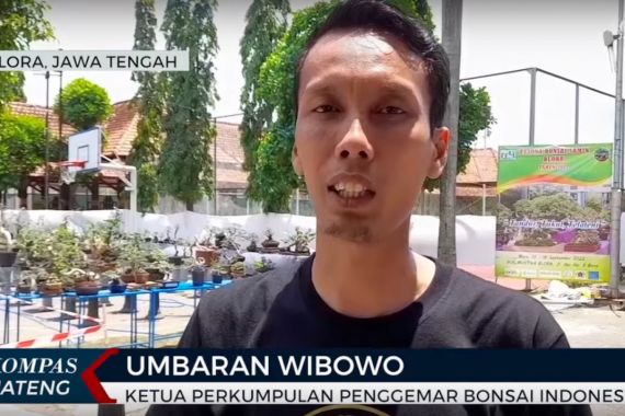 Cara Iptu Umbaran Menyamar, Punya Sertifikat Wartawan & Aktif di Komunitas Bonsai - JPNN.COM