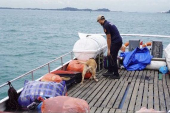 Kapal Rahmat Jaya 12 Ditangkap Satgas Patroli Laut BC Batam, Bawa Banyak Barang Ilegal - JPNN.COM