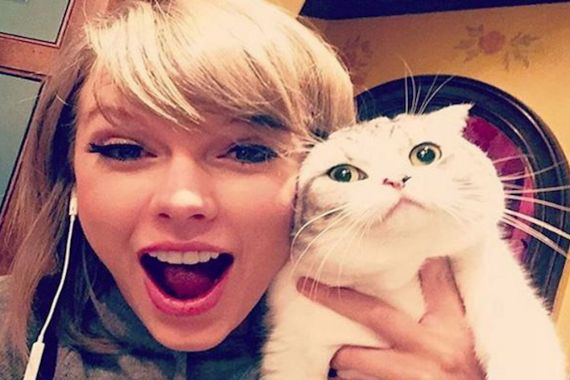 Kucing Taylor Swift Jadi Hewan Peliharaan Terkaya Ketiga di Dunia, Sebegini Kekayaannya - JPNN.COM