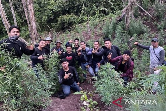 Respons Polda Sumsel Soal Isu Pemilik Kebun Ganja Dibuang ke Jurang setelah Ditembak Mati - JPNN.COM