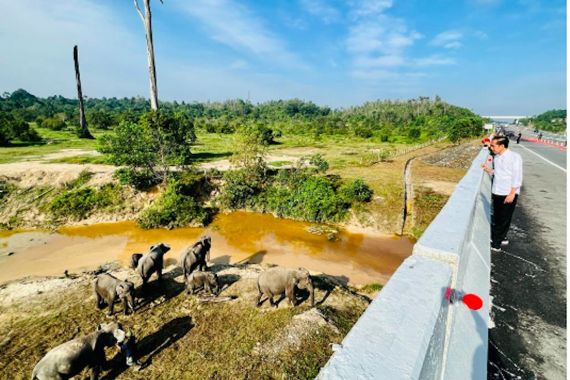 Jokowi Apresiasi Pembangunan Infrastruktur yang Perhatikan Lingkungan - JPNN.COM