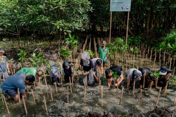AdaKami dan Komunitas Mangrove Jakarta Gelar Aksi Tanam 500 Pohon - JPNN.COM