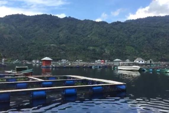 Ratusan Ton Ikan di Danau Ranau Mati Mendadak, Dinas Perikanan Ungkap Penyebabnya - JPNN.COM