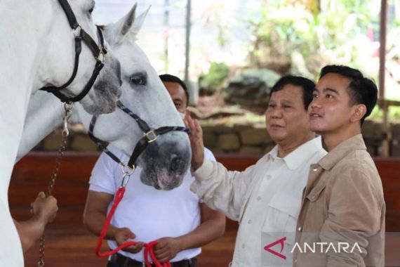 Duet Prabowo-Gibran Bisa Memicu 'Perang', Bobby & Jokowi Bakal Kena Imbas - JPNN.COM
