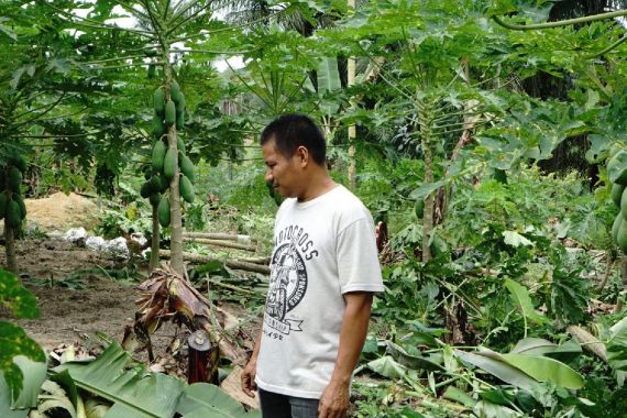 Gajah Liar Serang Kebun Warga di Pekanbaru, Ini Kata BBKSDA Riau - JPNN.COM