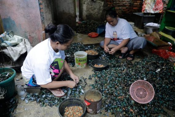 Kembangkan Komunitas UMKM di Cilincing, OMG Jakarta Beri Alat Pengupas Kerang - JPNN.COM