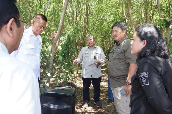 Kementan Serahkan Lab Kultur Jaringan ke BSIP Lampung, Siap Hasilkan Benih Pisang Bermutu - JPNN.COM