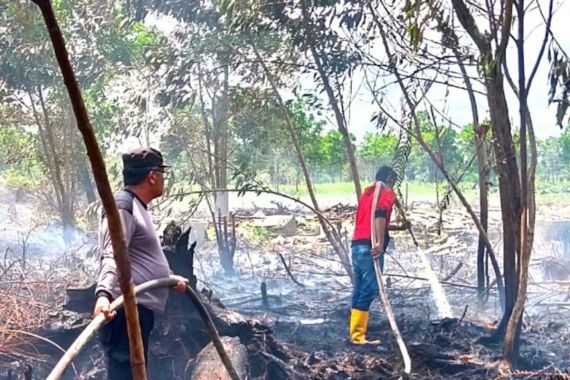 Polisi Mendalami Hasil Investigasi Kebakaran Lahan 5 Hektare di Kubu Raya Kalbar - JPNN.COM