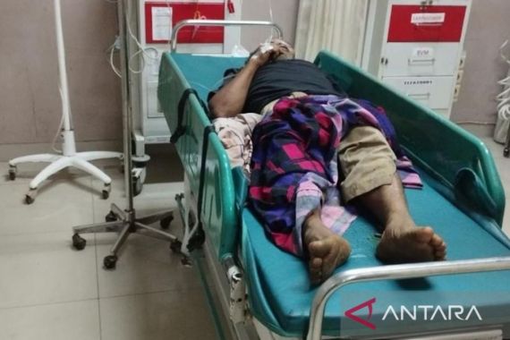 Pohon Tumbang Timpa Pasutri di Sukabumi, Satu Orang Tewas - JPNN.COM