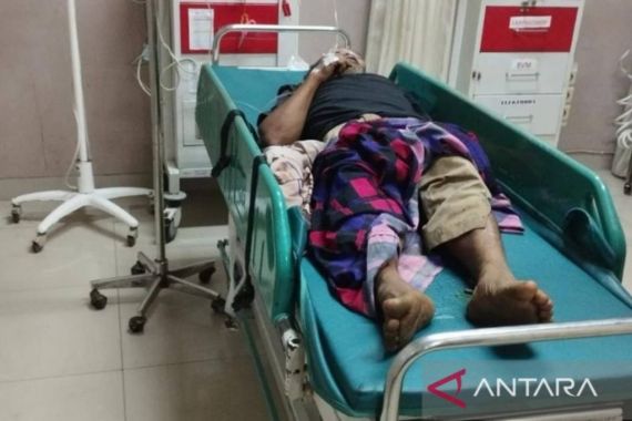 Pasutri Tertimpa Pohon Kelapa Tumbang, Satu Orang Tewas - JPNN.COM