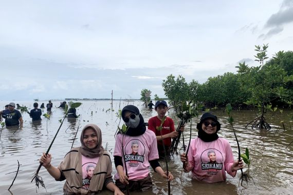 Srikandi Ganjar Sumsel Tanam 500 Bibit Mangrove Bersama Warga - JPNN.COM