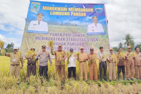 Manokwari Diharapkan Menjadi Lumbung Padi Pertama di Papua - JPNN.COM
