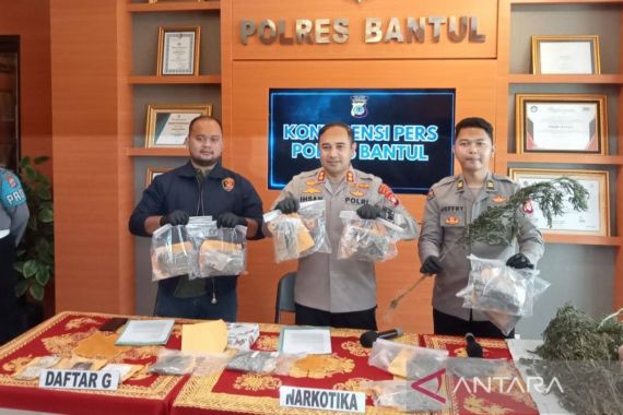 Ganja dari Aceh Dikirim ke Bantul Lewat Ekspedisi - JPNN.COM