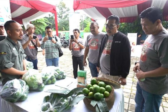 Jurnalis Fest 2023: 200 Kilogram Sayur Terjual, Booth Desa Kertawangi Jadi Favorit - JPNN.COM
