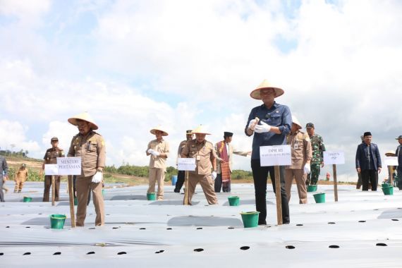 Mentan SYL dan Martin Manurung Tanam Perdana di Kawasan Pertanian Terpadu Samosir - JPNN.COM