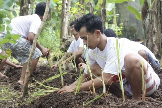 Orang Muda Ganjar DIY Tanam Empon-Empon dan Bersihkan Dusun di Jatirejo - JPNN.COM