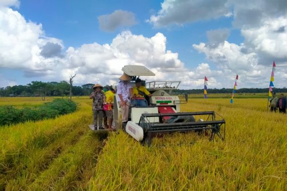 Dinas Ketahanan Pangan Purworejo Pastikan Produktivitas Padi Meningkat - JPNN.COM