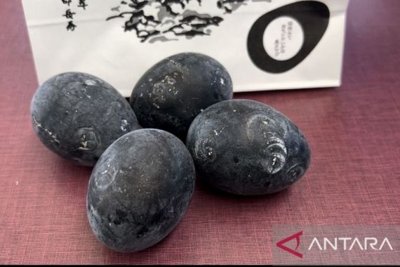 Telur Hitam dari Jepang Ini Diyakini Bisa Bikin Umur Panjang - JPNN.COM