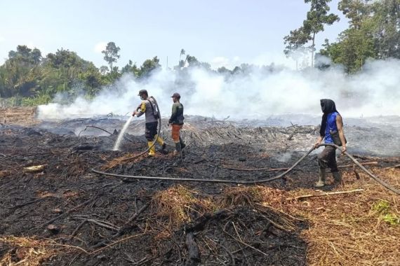 Anak Buah Irjen Iqbal Tangkap 2 Pembakar Lahan di Riau - JPNN.COM