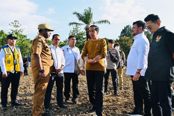Presiden Jokowi Kick Off Food Estate di Papua, Siapkan Lahan Jagung 10 Ribu Hektare - JPNN.COM