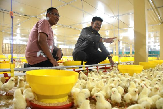 Mentan SYL: Gowa Harus jadi Role Model Penerapan Sistem Hulu-Hilir Ayam Broiler  - JPNN.COM