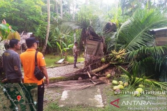 Angin Kencang, 1 Rumah Warga di Aceh Barat Tertimpa Pohon - JPNN.COM