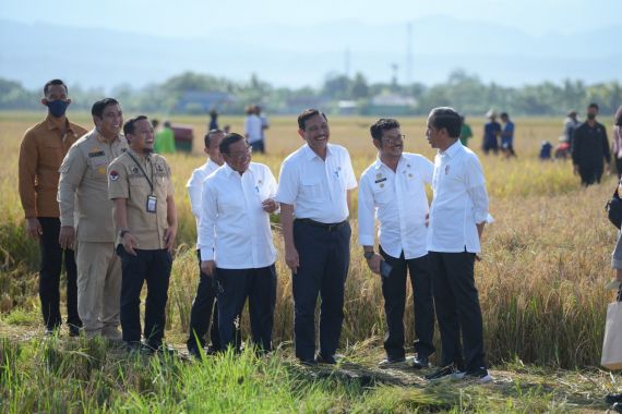 Sulsel Surplus Beras, Jokowi: Segera Distribusikan ke Wilayah Lain - JPNN.COM
