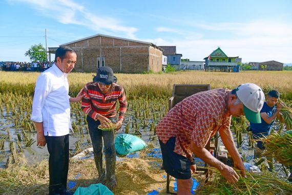 Jokowi Sebut Hasil Produksi Beras di Maros Baik Meski 2 Kali Dihantam Banjir - JPNN.COM