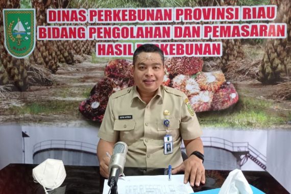 Harga TBS Sawit di Riau Sepekan ke Depan Turun, Jadi Sebegini - JPNN.COM