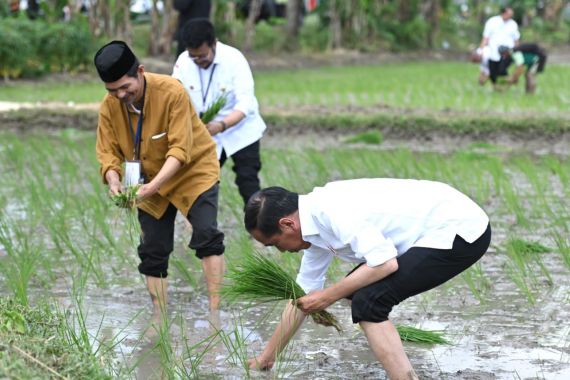 Lihat Tuh, Pak Jokowi Ikut Tanam Padi Telanjang Kaki di Jatim - JPNN.COM