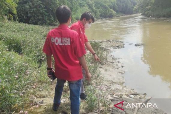 Polisi Bergerak Cepat Menyelidiki Penyebab Ribuan Ikan Mati di Sungai Cileungsi - JPNN.COM