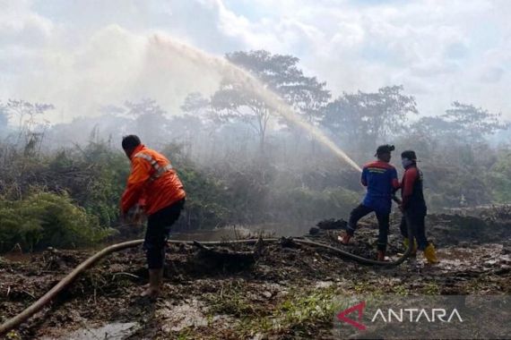 10 Hektare Lahan Perkebunan Kelapa Sawit di Aceh Barat Terbakar - JPNN.COM