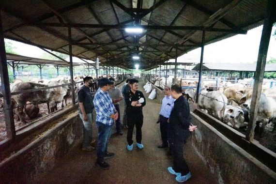 Pantau Peternakan di Bekasi, Mentan SYL Jamin Ketersediaan Daging Sapi Jelang Idulfitri - JPNN.COM