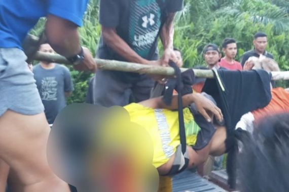 Andi Sukerman Tewas Diterkam Harimau, Kondisi Mengenaskan, Kepalanya Terpisah - JPNN.COM