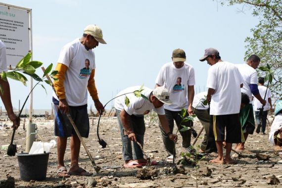 Sukarelawan Ganjar Tanam Mangrove di Karawang demi Bantu Nelayan - JPNN.COM