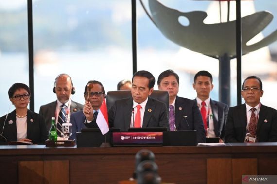 Seharusnya Jokowi Berperan Lebih di Tingkat Dunia ketimbang Sibuk Copras-Capres - JPNN.COM