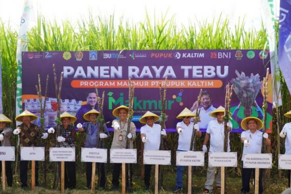 Berhasil Terapkan Program Agrosolution, Pupuk Kaltim Panen Raya Tebu di Sleman - JPNN.COM