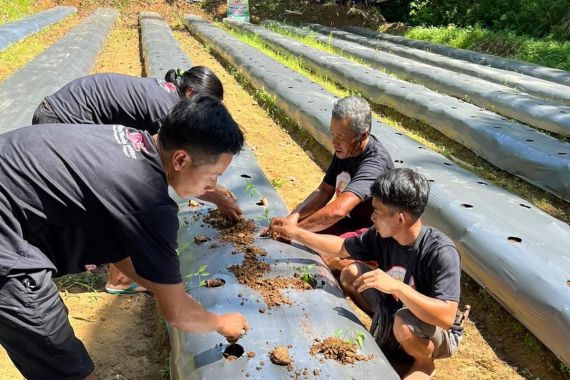 Manfaatkan Lahan Kosong, Ganjar Milenial Center & Sejumlah Organisasi Ajak Warga Budi Daya Cabai - JPNN.COM