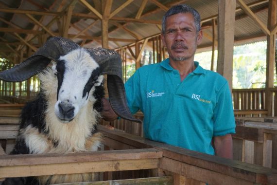 BSI & BSI Maslahat Resmikan Desa Bangun Sejahtera Indonesia Klaster Domba Kambing - JPNN.COM