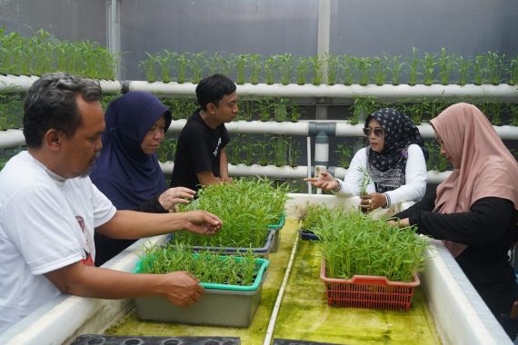 OMG Dukung Inovasi Masyarakat dan Bantu Renovasi Green House di Pulogadung - JPNN.COM