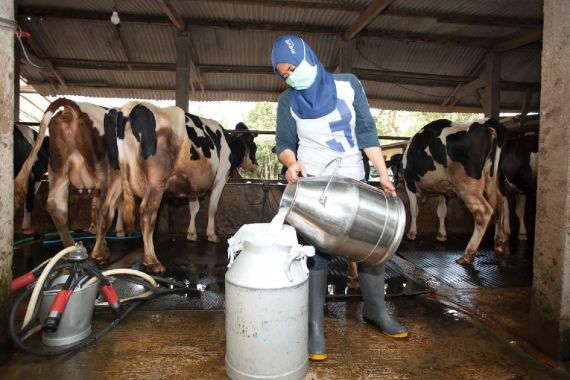 Konsumsi Susu Indonesia Masih Rendah Dibanding Negara Asia Tenggara Lainnya  - JPNN.COM